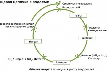 Для чего необходима система фильтрации?